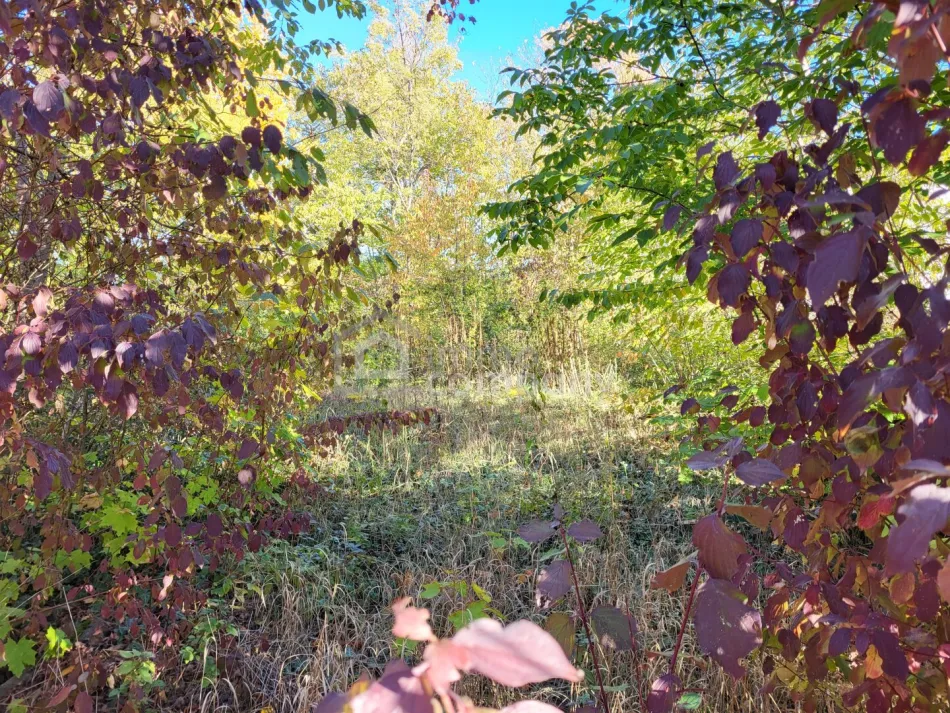 Baugrundstück mit 849 m² in Katzelsdorf – Frohsdorfersiedlung - Titelbild