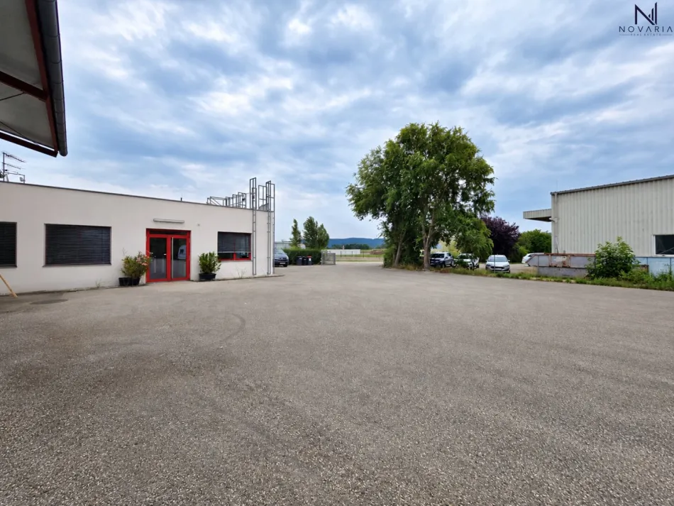 Barrierefreier Büroraum mit ca. 25m2 inkl. 2 Parkplätzen (Preis inkl. Strom und Heizkosten) plus Option auf 41m2 in einer 8 Meter hohen Lagerhalle - Bild