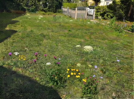 23. Garten 2.jpg