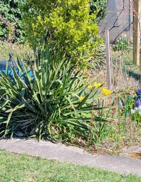 24. Garten 5.jpeg
