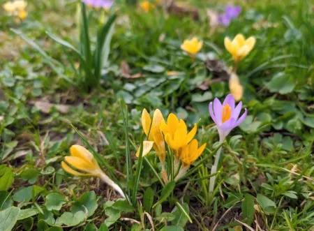 25. Garten 6.jpeg