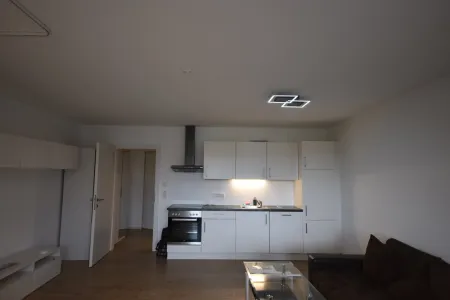 Wohn-, Koch-, Ess-, Schlafbereich - Modernes und geräumiges Appartement mit großer Loggia und Bergblick Miete Grödig Salzburg