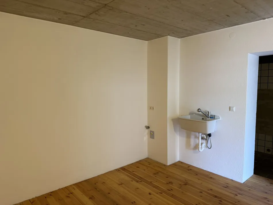 Klimatisierte Altbauwohnung mit großzügigem Wohnbereich, Tischlerküche und Terrasse in Maria Lanzendorf - Bild