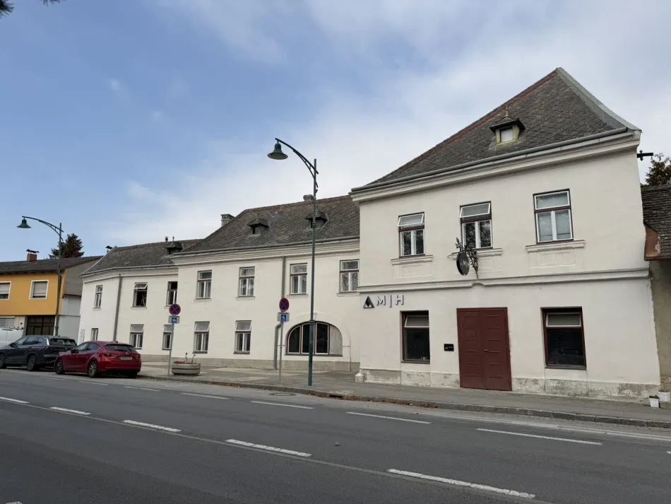 Klimatisierte Altbauwohnung mit großzügigem Wohnbereich, Tischlerküche und Terrasse in Maria Lanzendorf - Bild