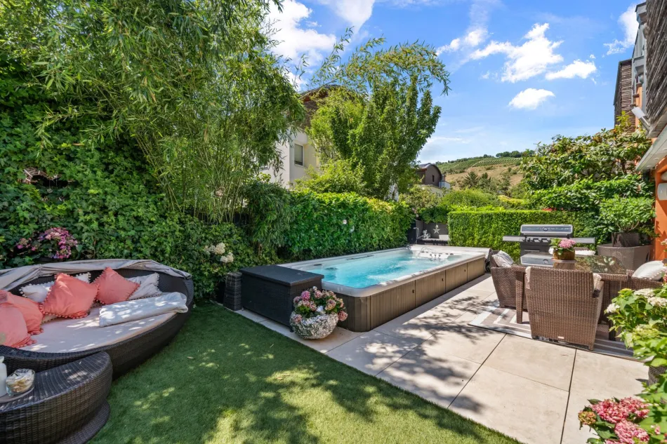 Zwischen Weinreben und Wien - Bild