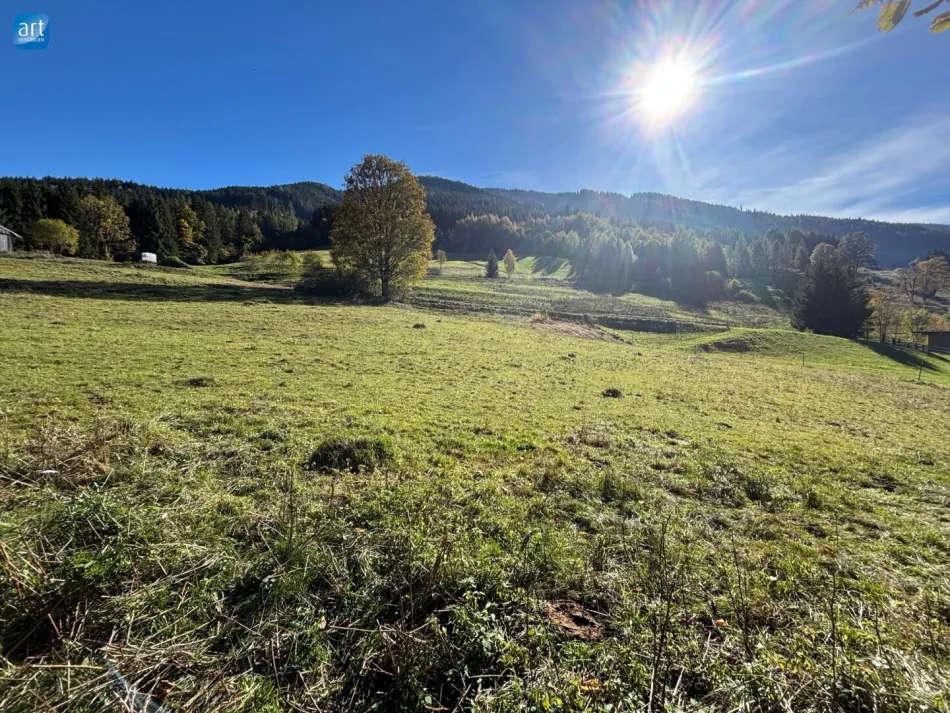 absolute Rarität - Gewerbegrundstück im Pinzgauer Leogang mit 2.890 m2 - Bild