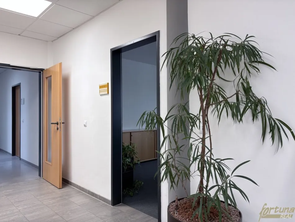 All-Inklusive Büros im Gewerbegebiet: ab 23 m², Flächen erweiterbar - Bild