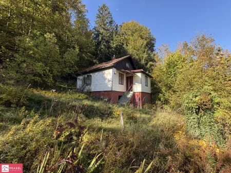 Ansicht Ost - straßenseitig