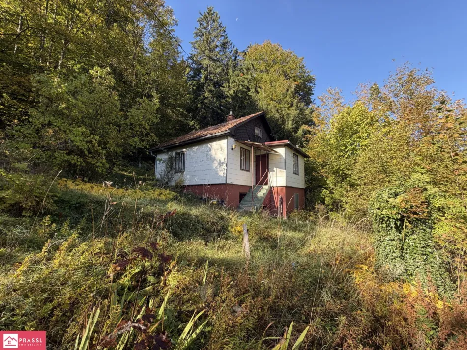 Ansicht Ost - straßenseitig
