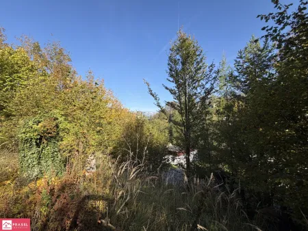 Aussicht vom Grundstück