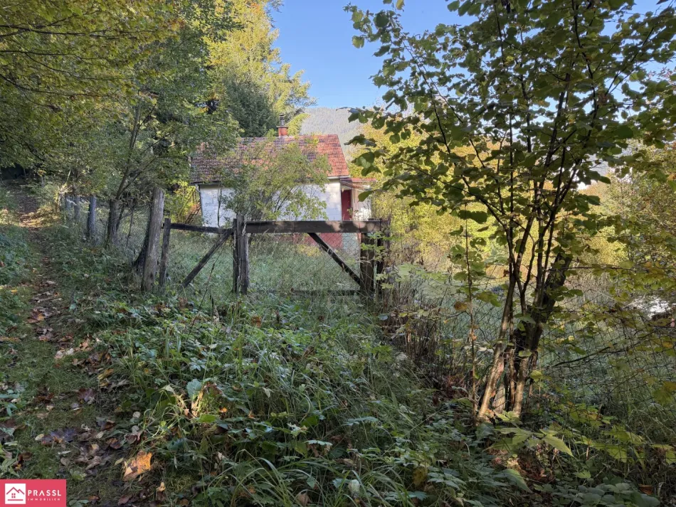 Ansicht Ost - straßenseitig