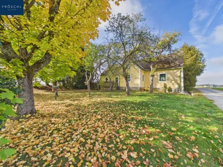 Wohnhaus mit schönem Garten und altem Baumbestand