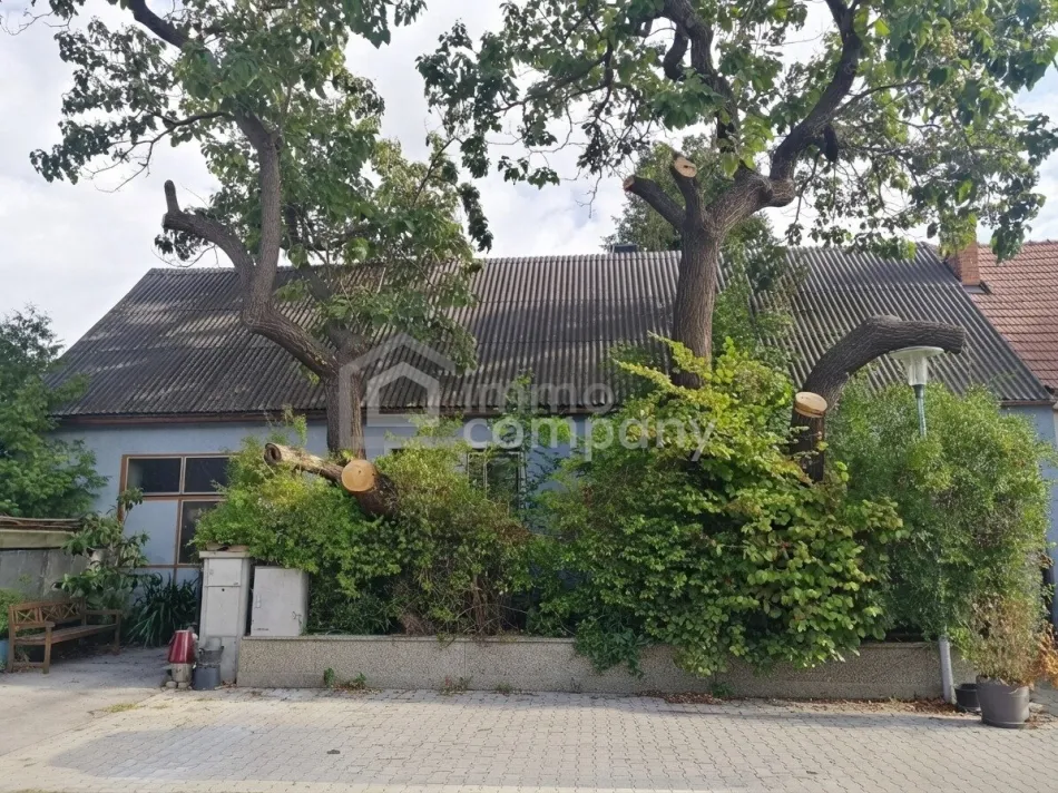 Sanierungsbedürftiges Haus auf 1580m² Grundstück - Titelbild