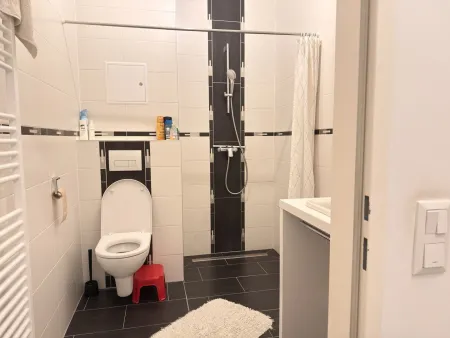 Duschbad mit WC im Erdgeschoß