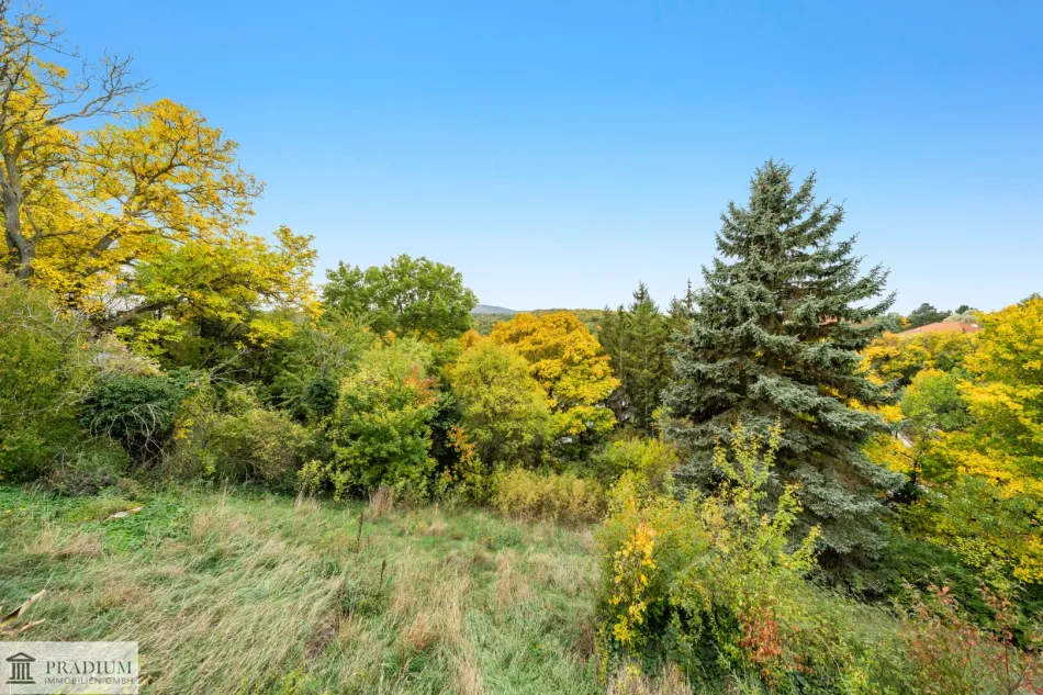 Traumgrundstück im Wienerwald – Baugrund in Siegenfeld mit Baubewilligung & Baustudien - Titelbild