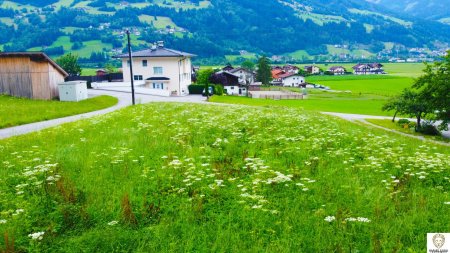 Wunderschöne Bauparzelle in Stumm im Zillertal