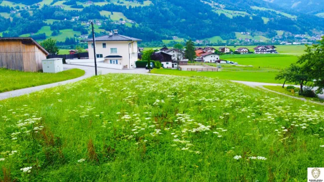 Wunderschöne Bauparzelle in Stumm im Zillertal - Titelbild