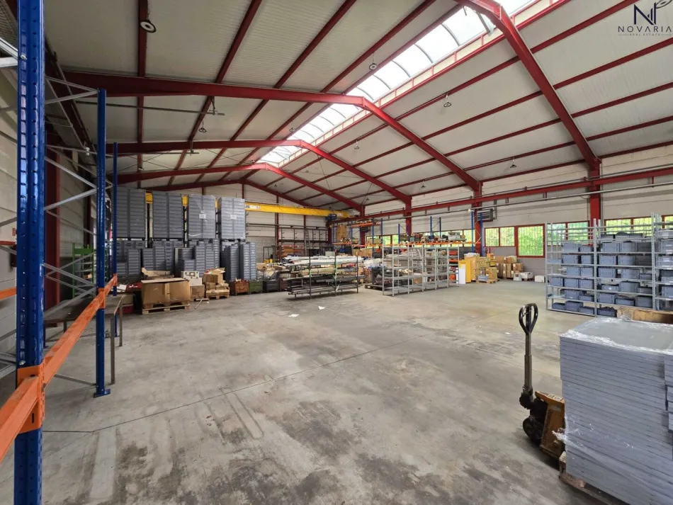 41 m² Lagerfläche in großzügiger Gewerbehalle mit Hallenkran und LKW-Zufahrt zu vermieten (Gemeinschatshalle) - Bild