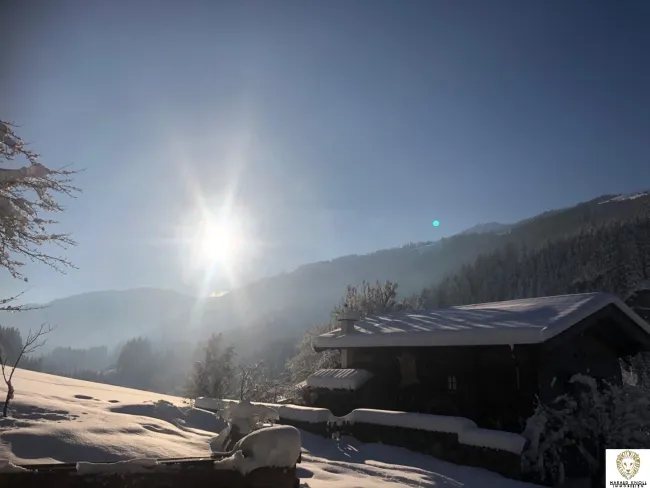Original Mühle, errichtet rund um 1600 mit Gartenanteil - Bild