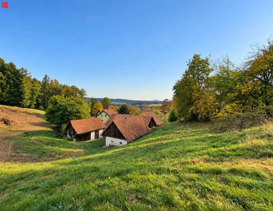 Rarität in der Thermenregion – historisches Weinstöckl mit großem Grundstück und eigener Quelle! - Titelbild