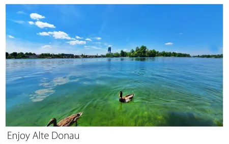 Alte Donau