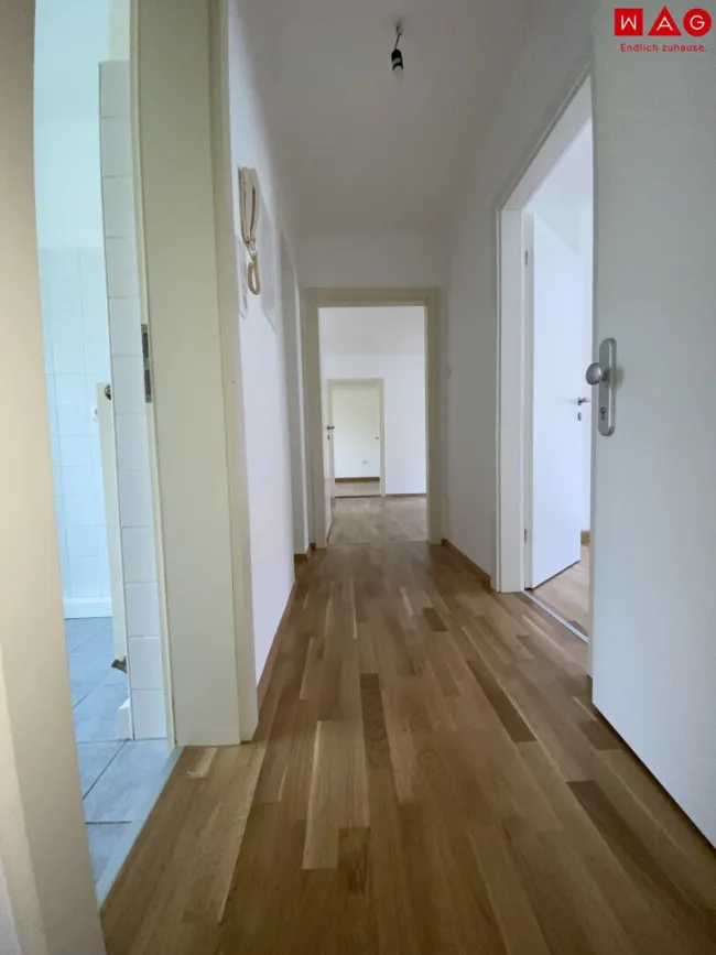 Blick in den Hof