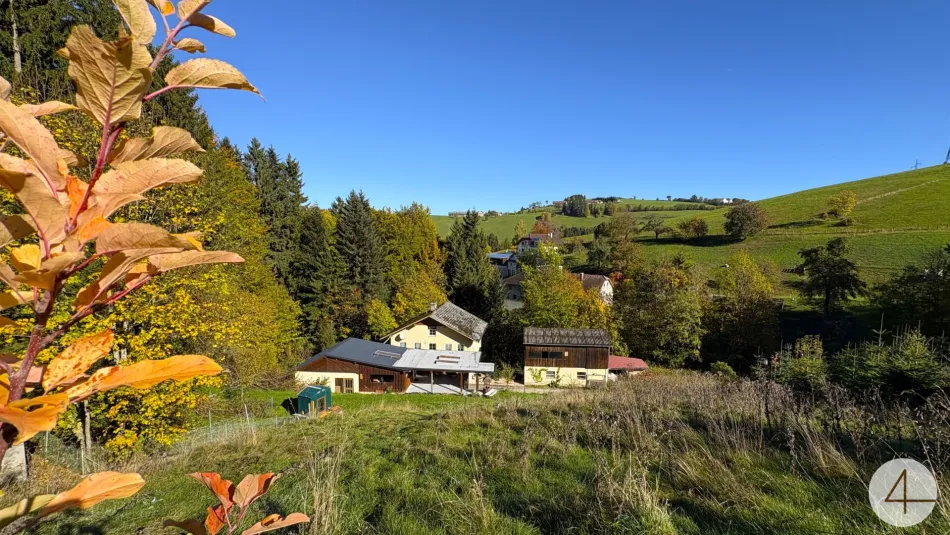 Alleinruhelage! Wohlfühloase im Wald! - Titelbild