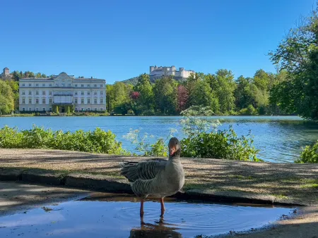 In der Nähe des Leopoldskroner Weihers