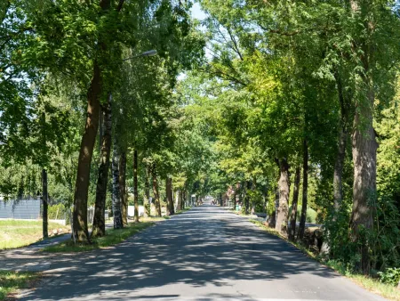In der Moosstraße