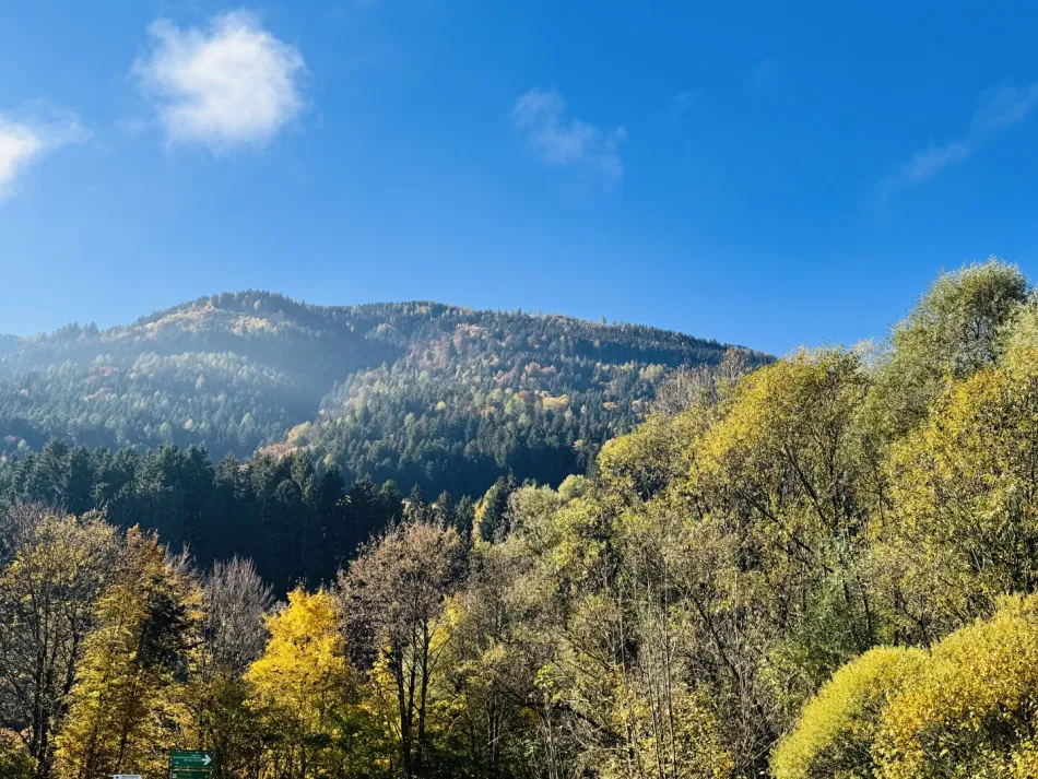 Baugrund in Spittal/Drau – ohne Bebauungspflicht - Bild