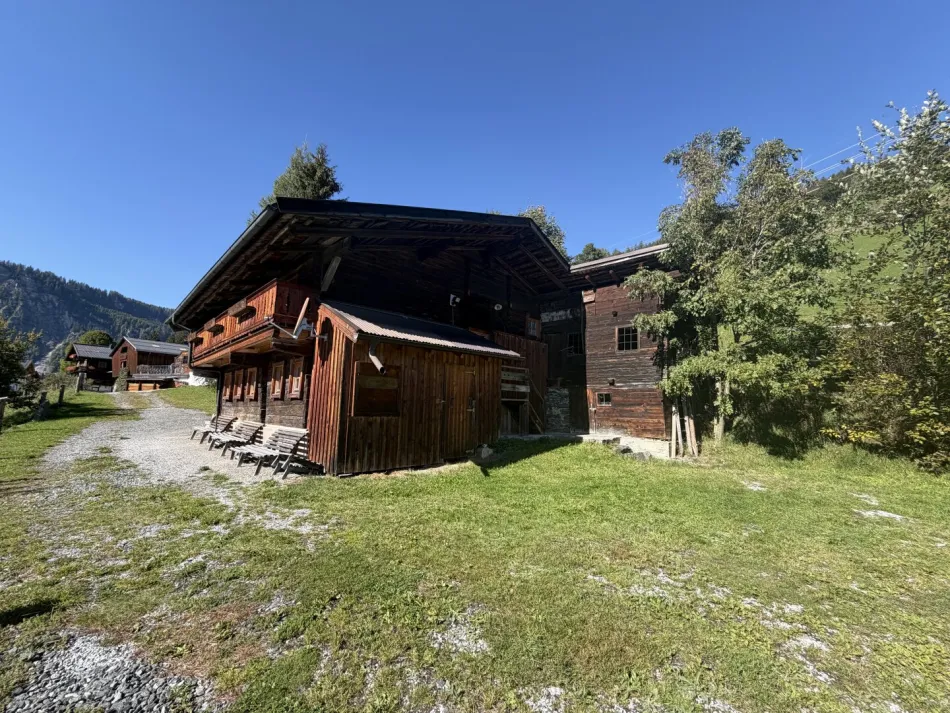 Wohnhaus im Bauernhausstil in Wald im Pinzgau - Bild