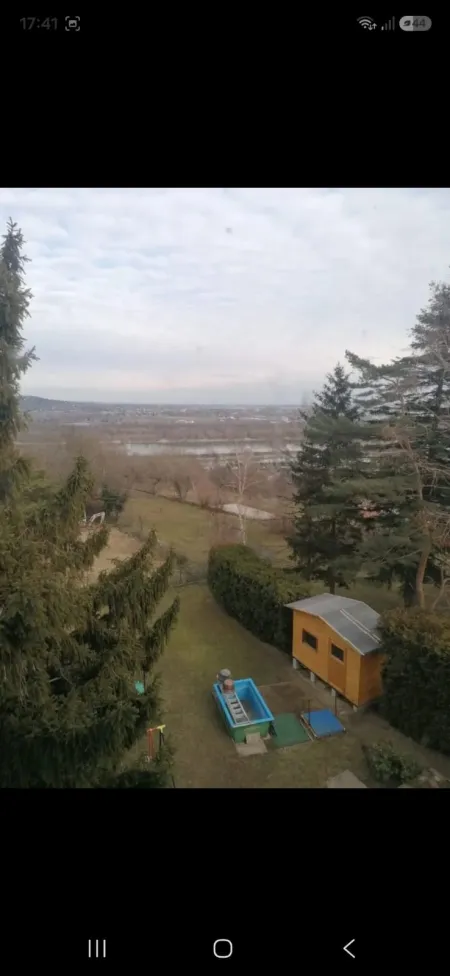 1000310728.jpg