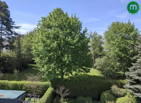 Blick von der Terrasse
