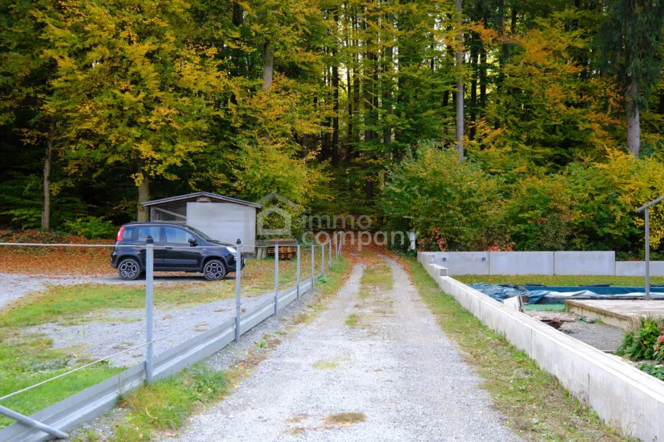 Kleines Juwel am Waldrand: liebevoll renoviertes Landhaus - Bild