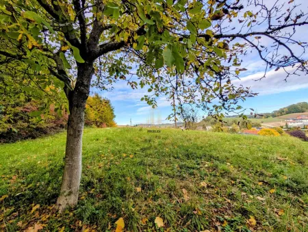Aussicht