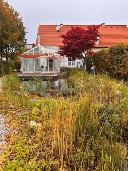 Schwimmteich mit Blick zur Terrasse