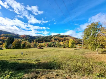 Kompagnon Immobilien - Grundstück