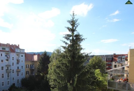 ANLAGEWOHNUNG - IDEAL UND ZENTRAL - HELL SONNIG + BALKON - bis 31.8.2028 befr. verm.
