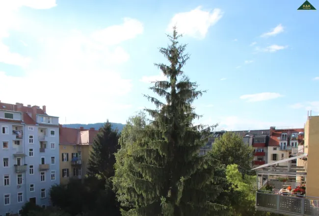 ANLAGEWOHNUNG - IDEAL UND ZENTRAL - HELL SONNIG + BALKON - bis 31.8.2028 befr. verm. - Titelbild
