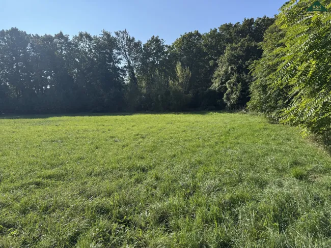 WIDMUNG GRÜNLAND PARK - GRUNDSTÜCK - ANLAGE - Bild