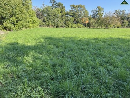 WIDMUNG GRÜNLAND PARK - GRUNDSTÜCK - ANLAGE