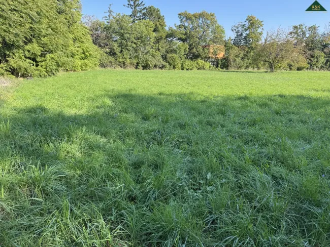 WIDMUNG GRÜNLAND PARK - GRUNDSTÜCK - ANLAGE - Titelbild