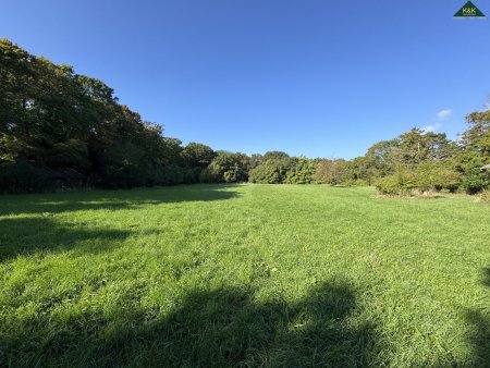 GROSSES GRÜNLAND GRUNDSTÜCK MIT BESTANDSHAUS - WIDMUNG PARK