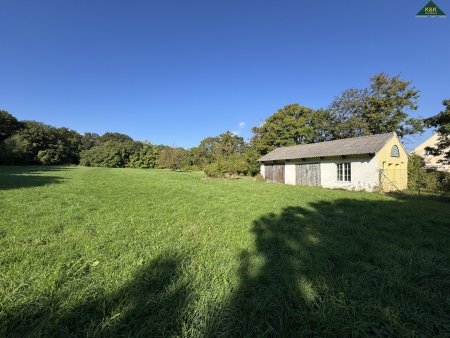 GROSSES GRÜNLAND GRUNDSTÜCK MIT BESTANDSHAUS - WIDMUNG PARK