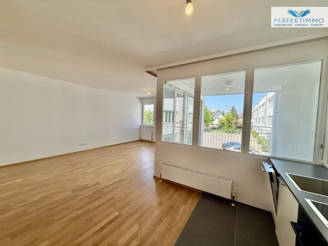 Großzügige Wohnungen mit Loggia oder Terrasse zur Miete - Bild