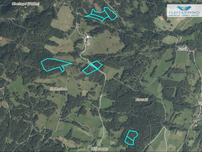 Waldgrundstücke in Arzl im Pitztal - Bild