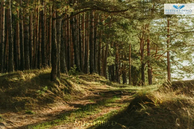 Waldgrundstücke in Arzl im Pitztal - Titelbild