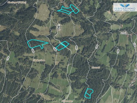 Waldgrundstücke in Arzl im Pitztal