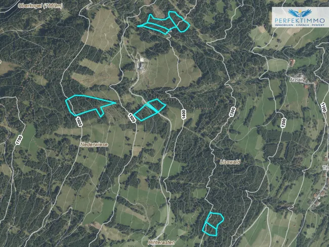 Waldgrundstücke in Arzl im Pitztal - Bild