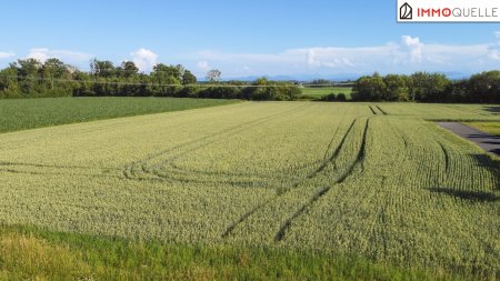 Wo Ruhe Raum für Zukunft schafft! 839 m² Baugrund in ruhiger Grünlage - familienfreundlich, wertstabil und bereit für Ihr neues Zuhause